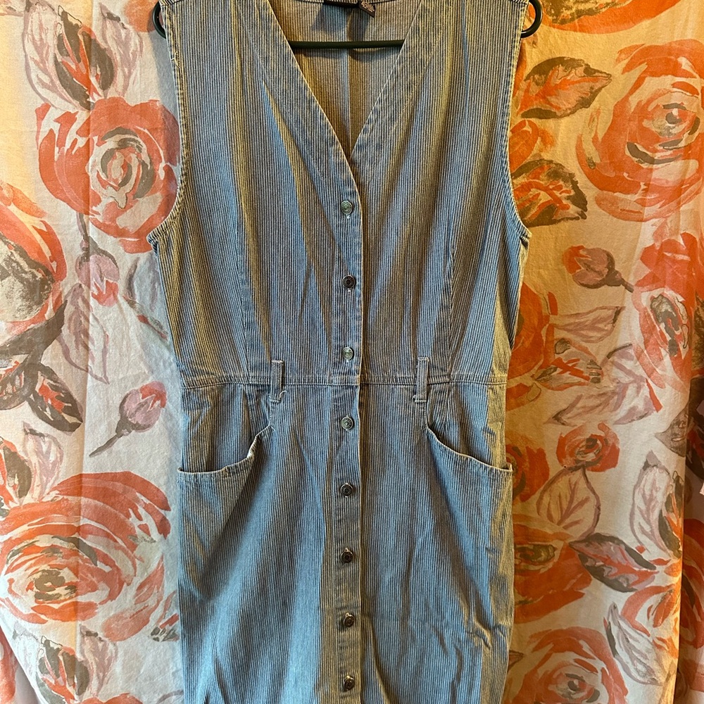 Gloria Vanderbilt Blue and White Denim Striped button down Dress
